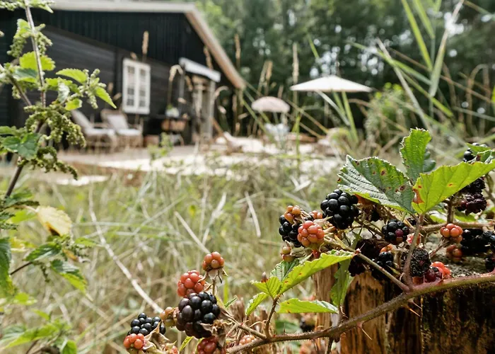 Cozy Summerhouse On Bornholm *